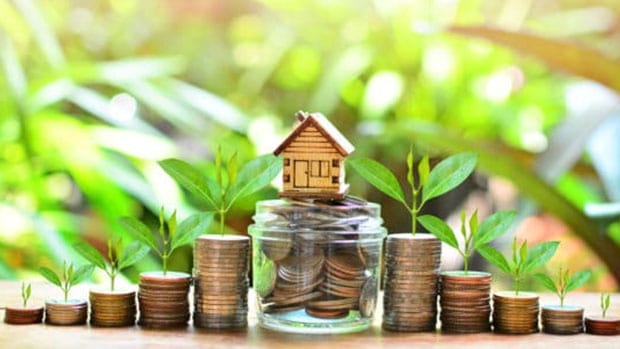 家庭股本贷款小木屋环绕硬币和生长植物